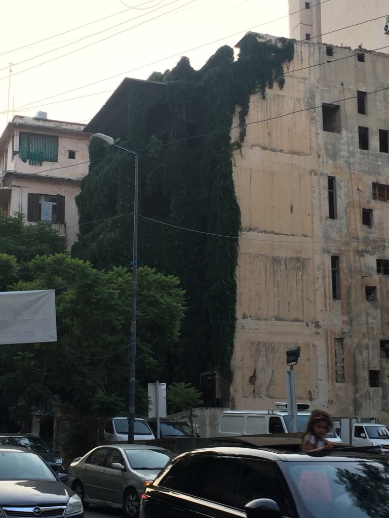 © Rouba Wehbe, 2020: Une verdure impressionnante dans la rue Sanaaeh à Beyrouth grimpant un immeuble abandonné. C’est comme si le vide a pris une autre dimension. Un dialogue entre le présent et le passé inachevé, la vie et la mort encore à venir, les questions et leurs réponses introuvables ! 